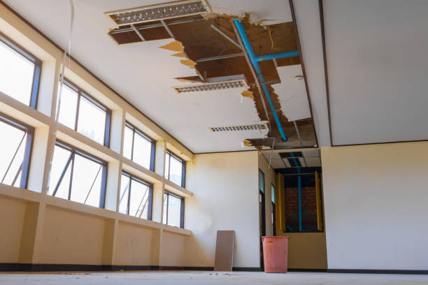 Best Ceiling water damage repair  in Oakfield, WI