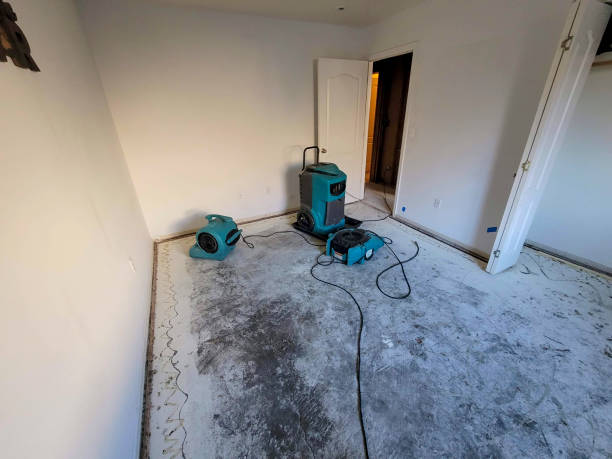  Oakfield, WI Water damage restoration Pros