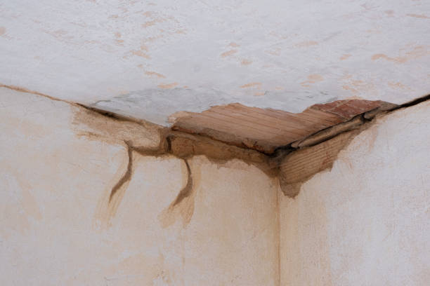 Best Emergency water damage restoration  in Oakfield, WI