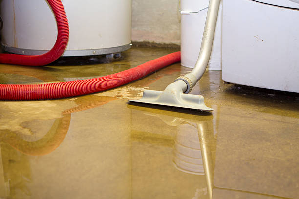 Best Water damage restoration process  in Oakfield, WI