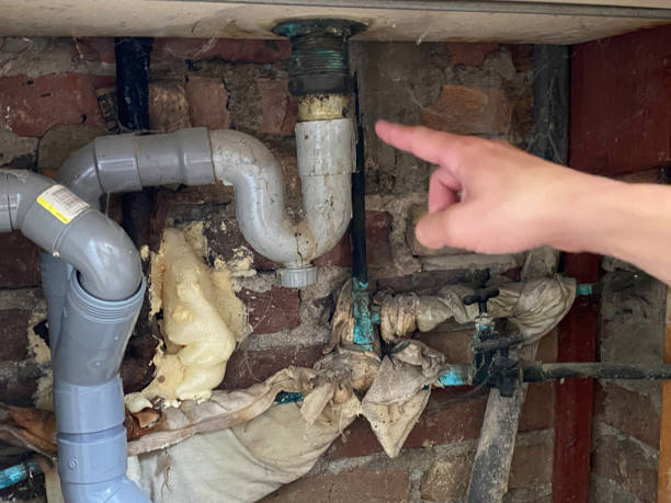 Best Flood damage cleanup  in Oakfield, WI