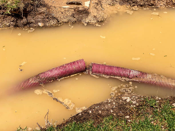 Best Carpet water damage restoration  in Oakfield, WI